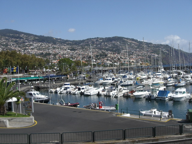 Surprise trip to Madeira.